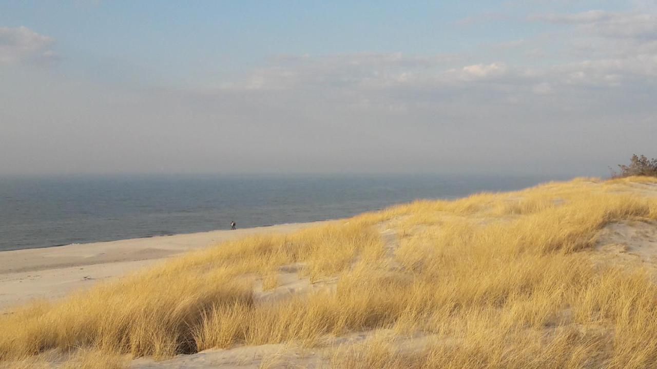 Oaza Czolpino Villa Smoldziński Las Bagian luar foto